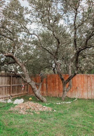 13707  Riverbank Pass, Helotes, TX 78023 — photo 21