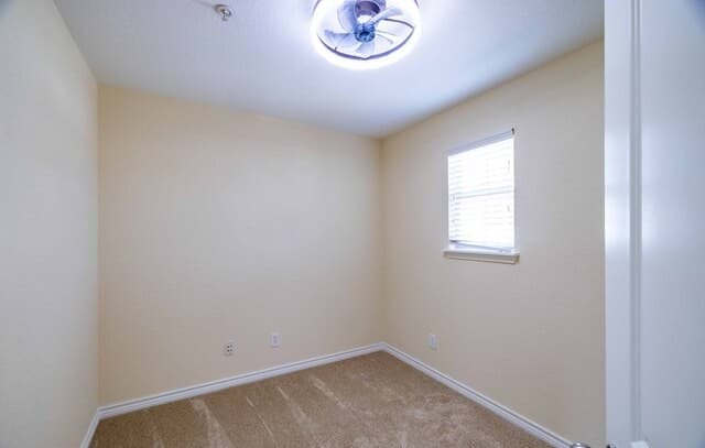 1113  Paniolo Dr, Boerne, TX 78006 — photo 16