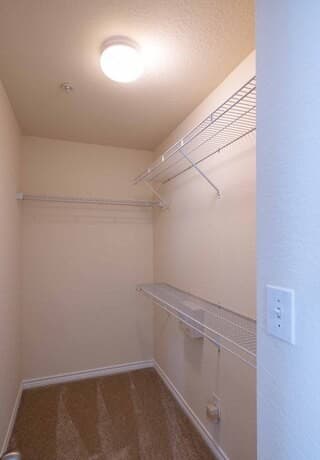 1113  Paniolo Dr, Boerne, TX 78006 — photo 18