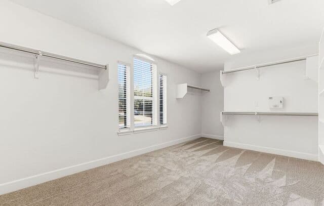 21011  La Pena Dr, San Antonio, TX 78258 — photo 20