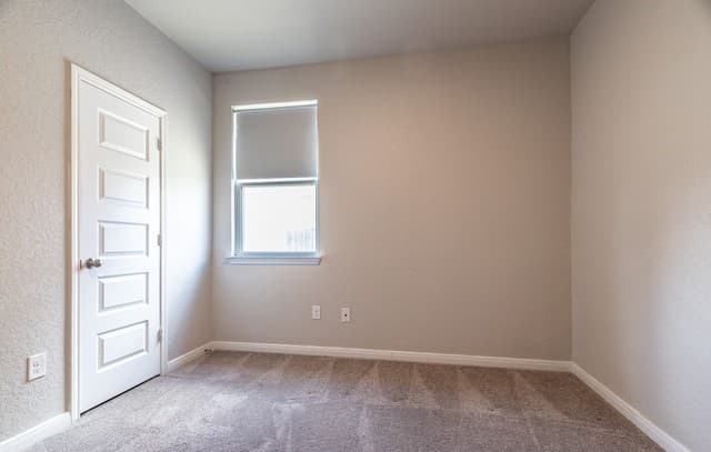 12425  Belfort Pt, Schertz, TX 78154 — photo 24