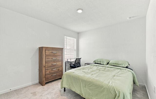 10723  Vesta Curv, San Antonio, TX 78224 — photo 10