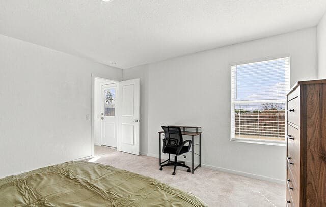 10723  Vesta Curv, San Antonio, TX 78224 — photo 24