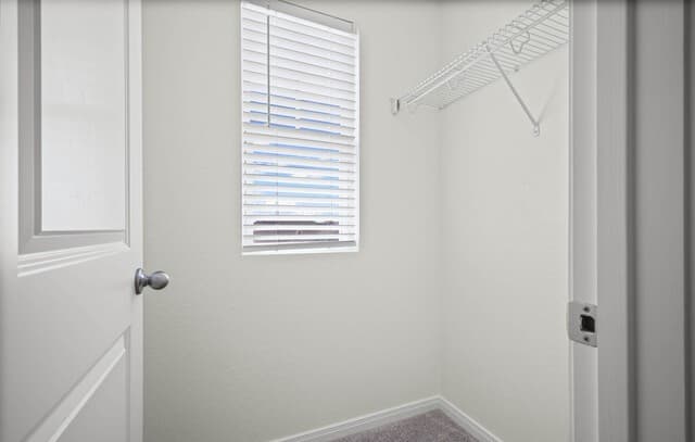 14403  Texas Coral, San Antonio, TX 78253 — photo 19