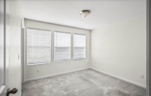 14403  Texas Coral, San Antonio, TX 78253 — photo 21