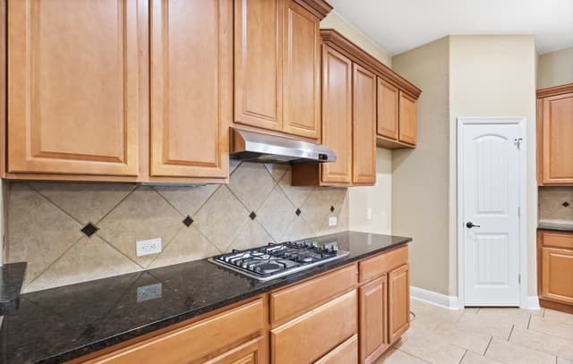 12522  Lexi Petal, San Antonio, TX 78253 — photo 10