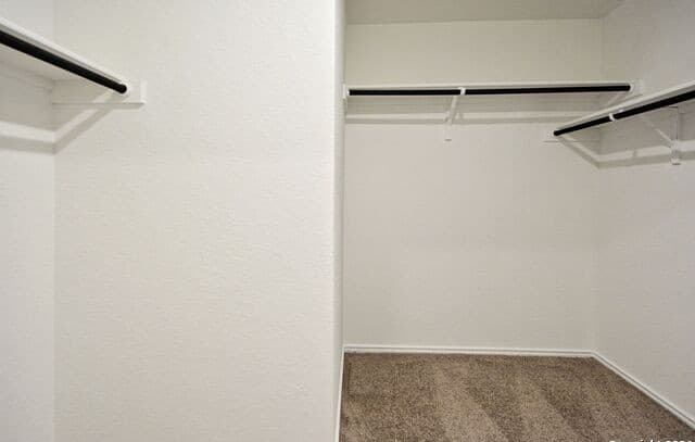 1607  Knoll Rdg, New Braunfels, TX 78130 — photo 24