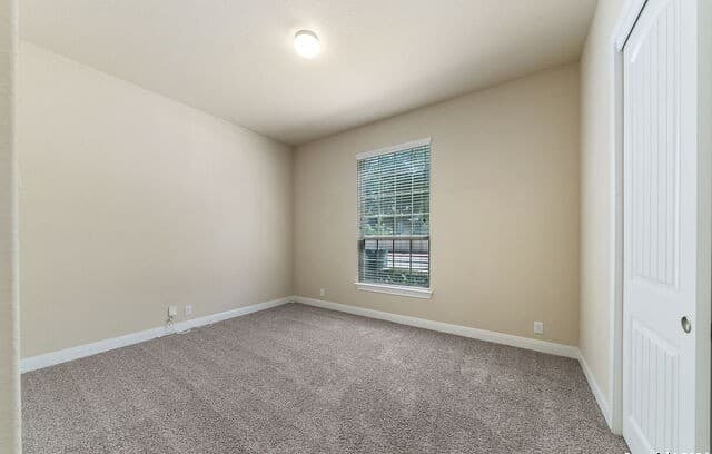 26923  Camellia Trce, Boerne, TX 78015 — photo 25