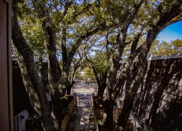 8030  Broadway Unit 202C, San Antonio, TX 78209 — photo 3