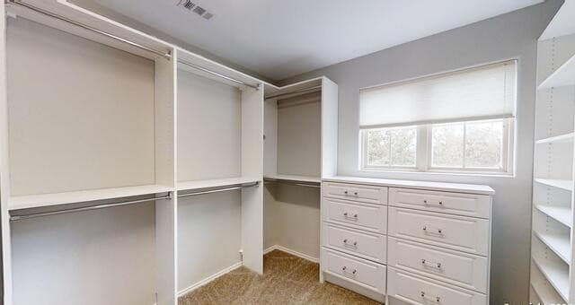 2915  Thunder Gulch, San Antonio, TX 78245 — photo 19