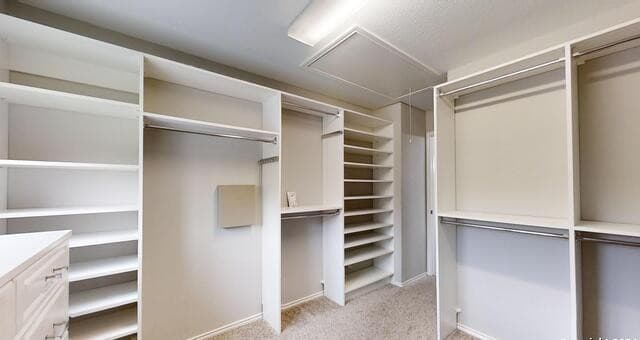 2915  Thunder Gulch, San Antonio, TX 78245 — photo 21
