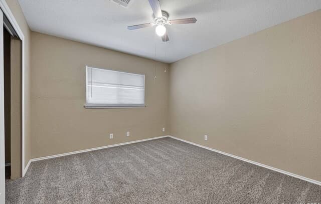 6019  Old Corral, San Antonio, TX 78250 — photo 10