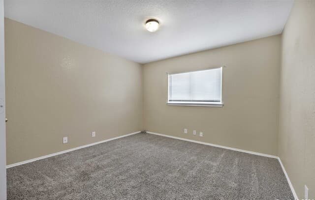 6019  Old Corral, San Antonio, TX 78250 — photo 13