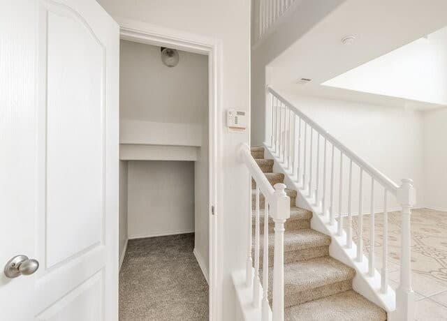 24822  Catalan Cliff, San Antonio, TX 78261 — photo 10