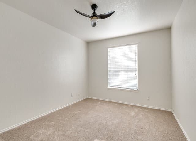 24822  Catalan Cliff, San Antonio, TX 78261 — photo 25