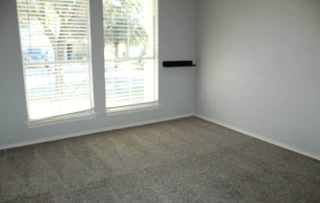 236  Goliad Drive, New Braunfels, TX 78130 — photo 6