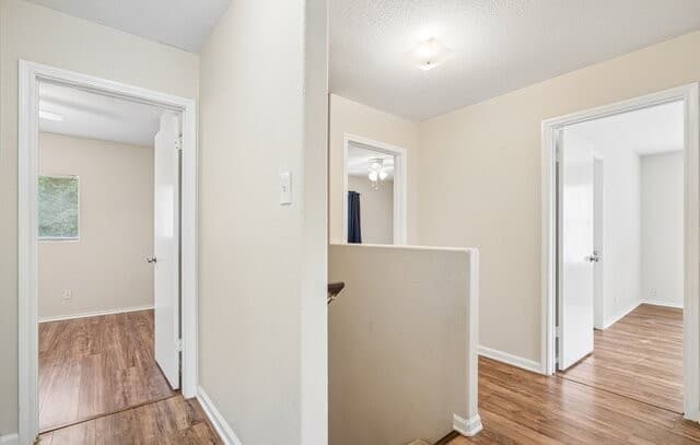 3815  Wetmore Knl, San Antonio, TX 78247 — photo 23