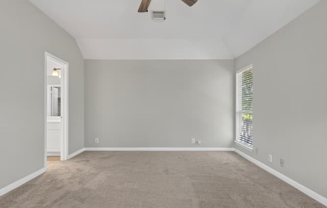 1637  Ebony Ln, Schertz, TX 78154 — photo 12