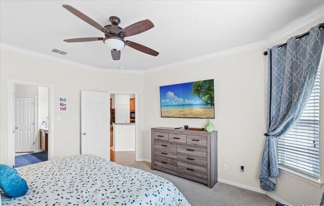 1301  Magellan, Windcrest, TX 78239 — photo 16