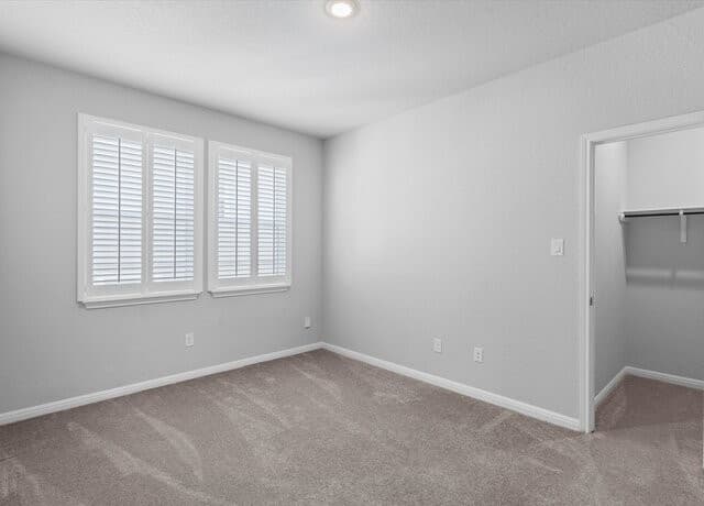 12542  Rothau Dr, Schertz, TX 78154 — photo 17