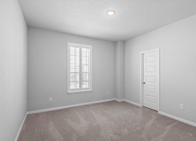 12542  Rothau Dr, Schertz, TX 78154 — photo 19