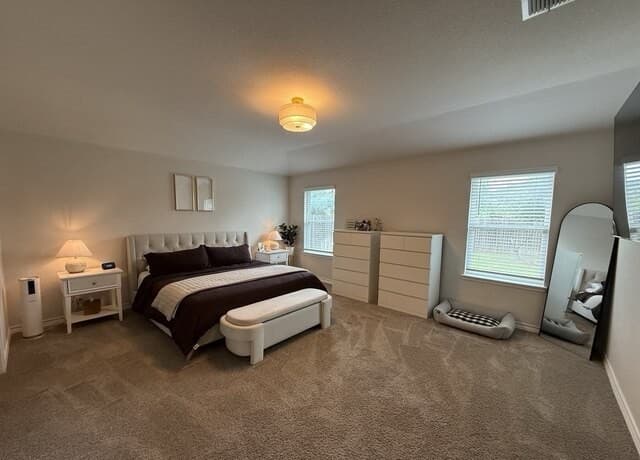 22126  Backspin, San Antonio, TX 78261 — photo 10
