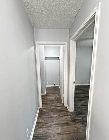 305  Haeckerville Rd, Cibolo, TX 78108 — photo 10