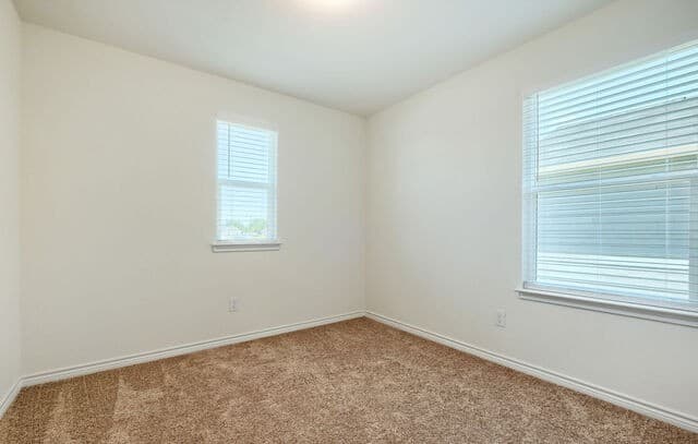 4519  Gato Calico Dr, San Antonio, TX 78222 — photo 19