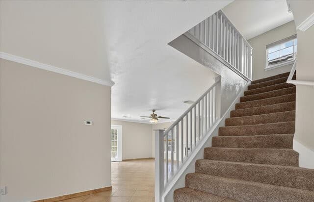 22023  Legend Point, San Antonio, TX 78258 — photo 23