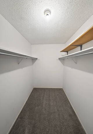 5910  Patrick Henry St, San Antonio, TX 78233 — photo 22