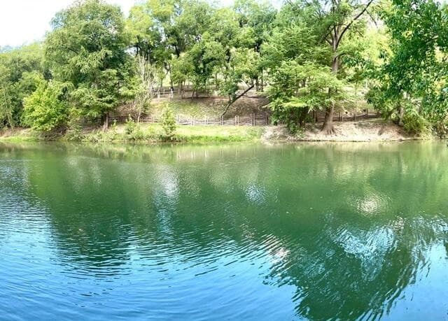 1806  Ponderosa Dr, New Braunfels, TX 78132 — photo 5
