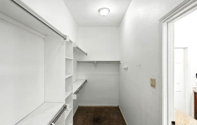17902  Crystal Knl, San Antonio, TX 78258 — photo 23