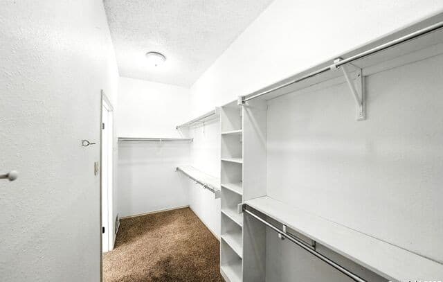17902  Crystal Knl, San Antonio, TX 78258 — photo 24