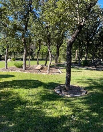 22923  Entiempo, San Antonio, TX 78261 — photo 12