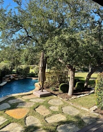 22923  Entiempo, San Antonio, TX 78261 — photo 19