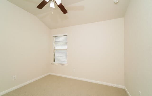 1244  Ella Xing, New Braunfels, TX 78130 — photo 12