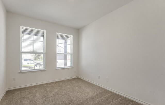 1541  Golden Wheat, New Braunfels, TX 78130 — photo 15