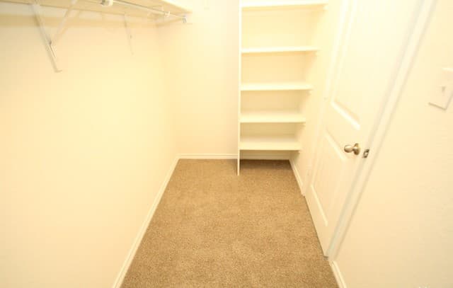 14622  Achilles Dr, San Antonio, TX 78245 — photo 17