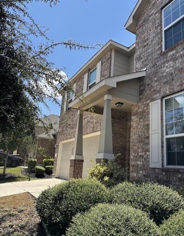 1431  Polydora