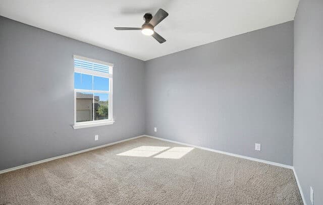 4210  Toledo Mist, San Antonio, TX 78222 — photo 10