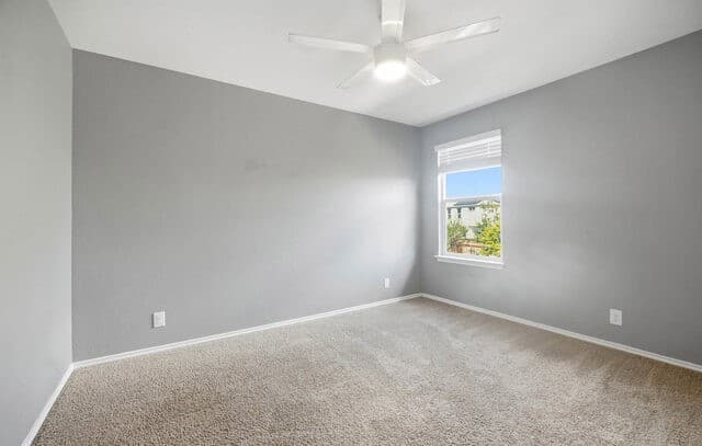 4210  Toledo Mist, San Antonio, TX 78222 — photo 11