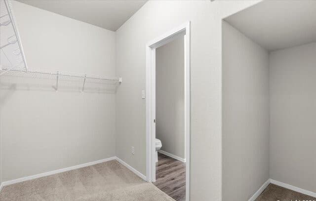 2438  Key Hole View, Converse, TX 78109 — photo 16
