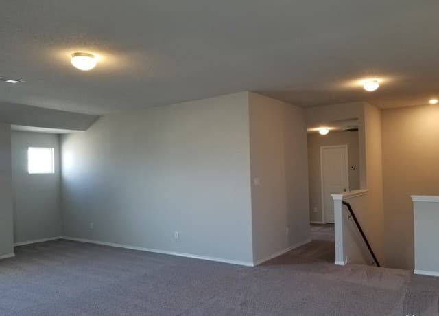 455  Agave Flats Dr, New Braunfels, TX 78130 — photo 19