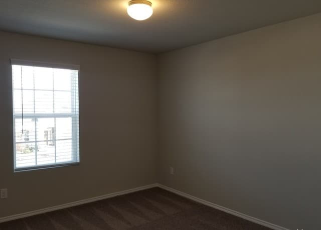 455  Agave Flats Dr, New Braunfels, TX 78130 — photo 23