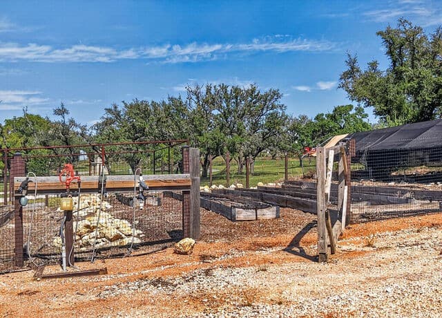113  Greco Bend, Boerne, TX 78006 — photo 18