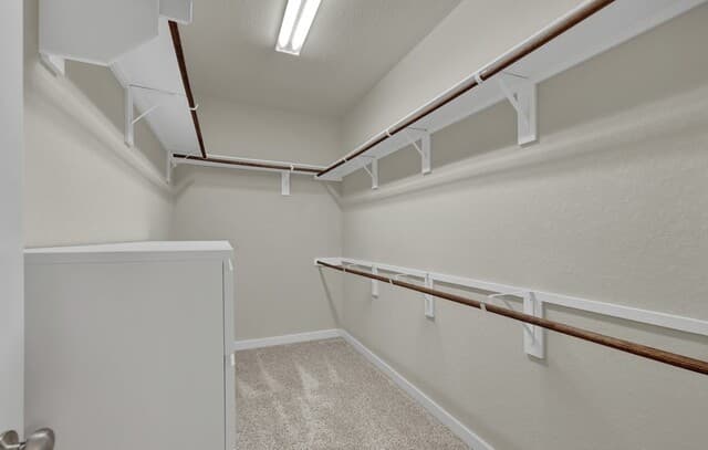 15418  IVORY HLS Hills, San Antonio, TX 78247 — photo 18