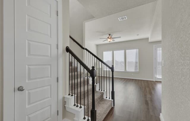 15418  IVORY HLS Hills, San Antonio, TX 78247 — photo 3