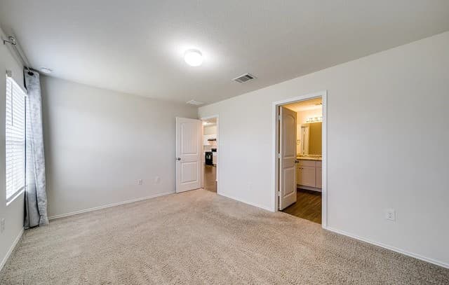 509  Moonvine Way, New Braunfels — photo 5