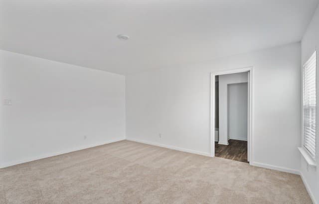 3940  Prairie Creek, New Braunfels, TX 78132 — photo 12