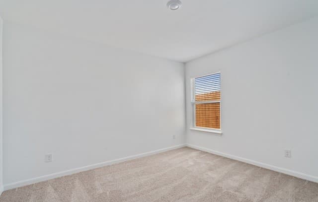 3940  Prairie Creek, New Braunfels, TX 78132 — photo 18